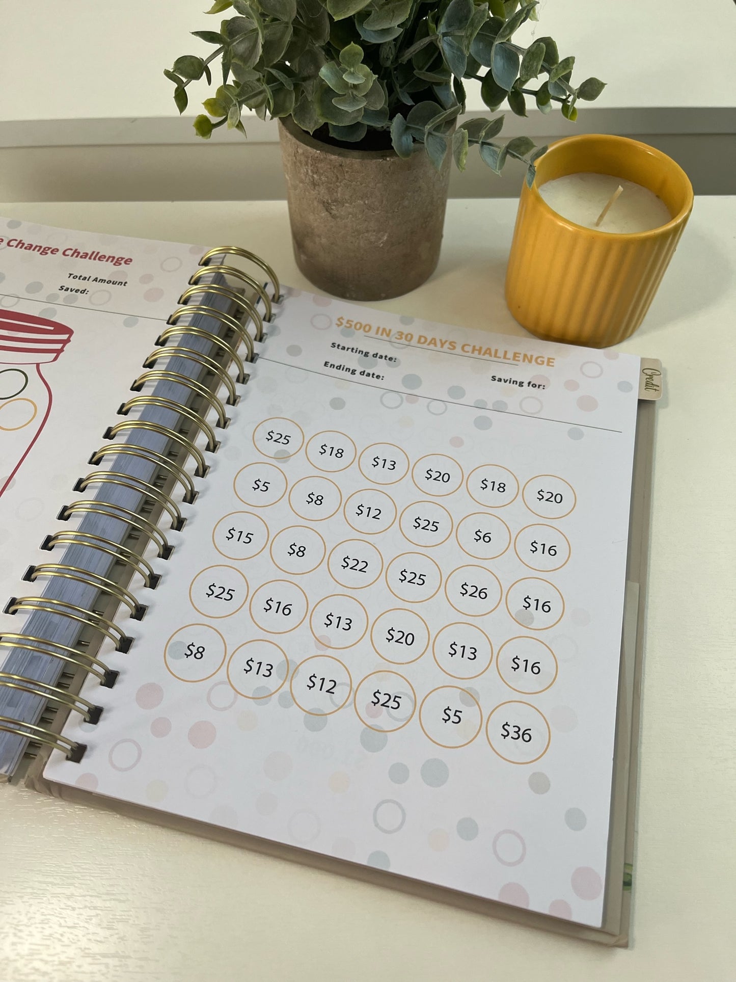 Budget Planner - Clearance