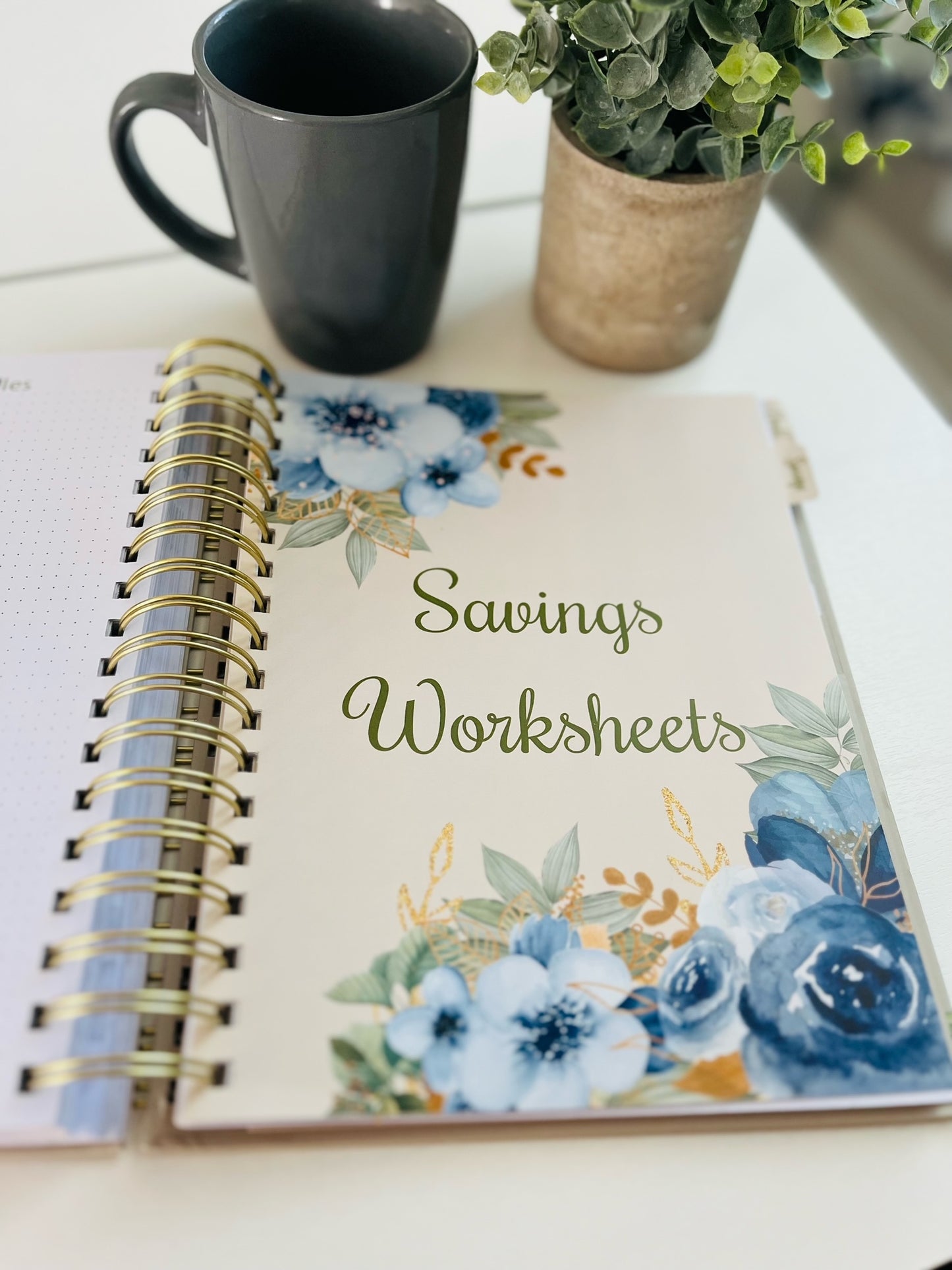 Budget Planner Bundle